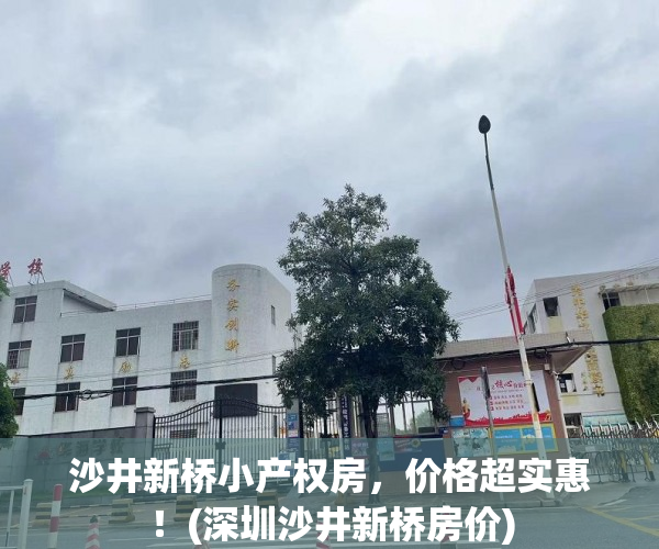 沙井新桥小产权房，价格超实惠！(深圳沙井新桥房价)