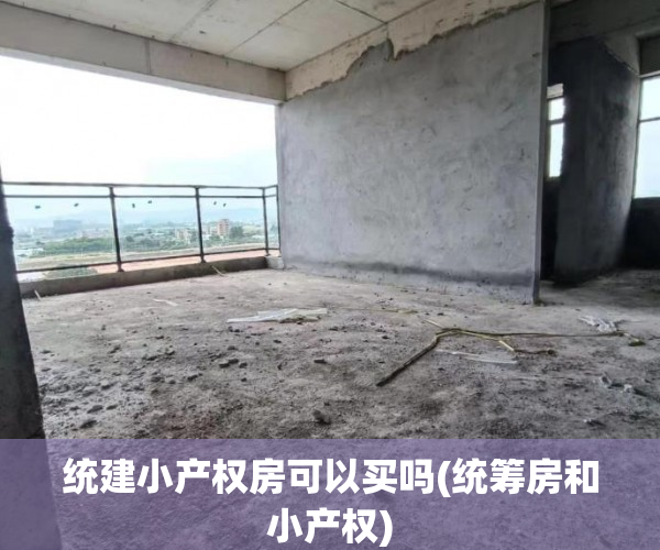 统建小产权房可以买吗(统筹房和小产权)