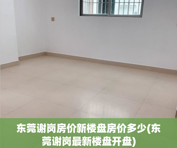 东莞谢岗房价新楼盘房价多少(东莞谢岗最新楼盘开盘)
