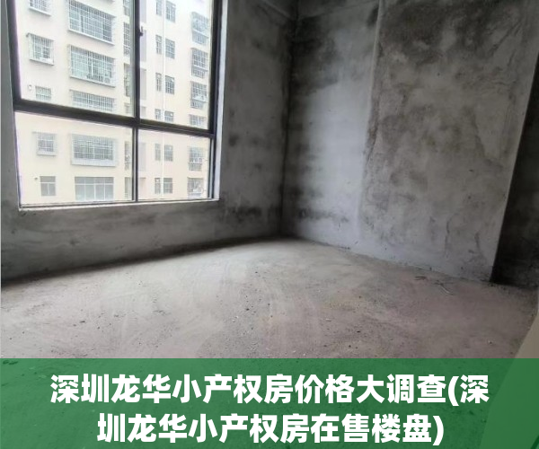深圳龙华小产权房价格大调查(深圳龙华小产权房在售楼盘)