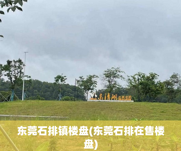 东莞石排镇楼盘(东莞石排在售楼盘) 东莞石排镇楼盘(东莞石排在售楼盘)