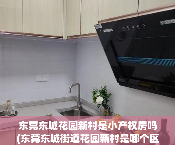 东莞东城花园新村是小产权房吗(东莞东城街道花园新村是哪个区)