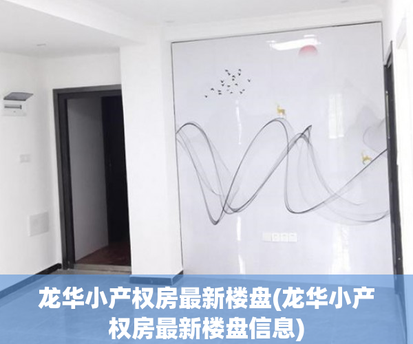 龙华小产权房最新楼盘(龙华小产权房最新楼盘信息)