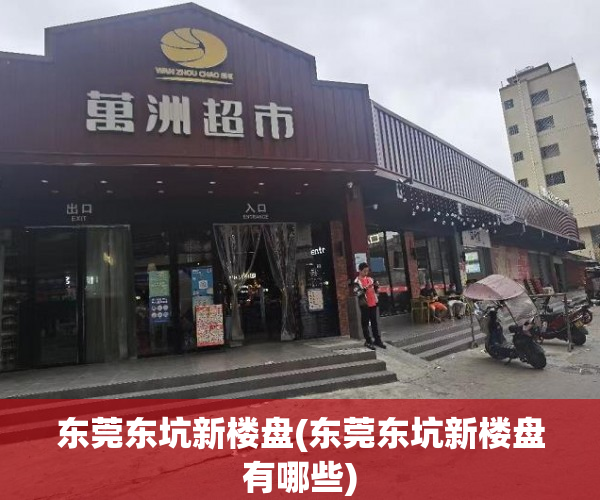 东莞东坑新楼盘(东莞东坑新楼盘有哪些)