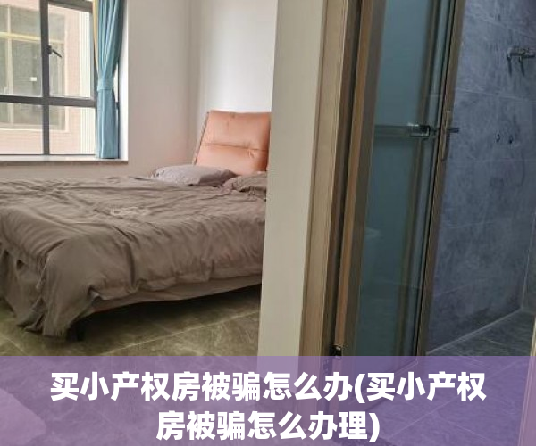 买小产权房被骗怎么办(买小产权房被骗怎么办理)