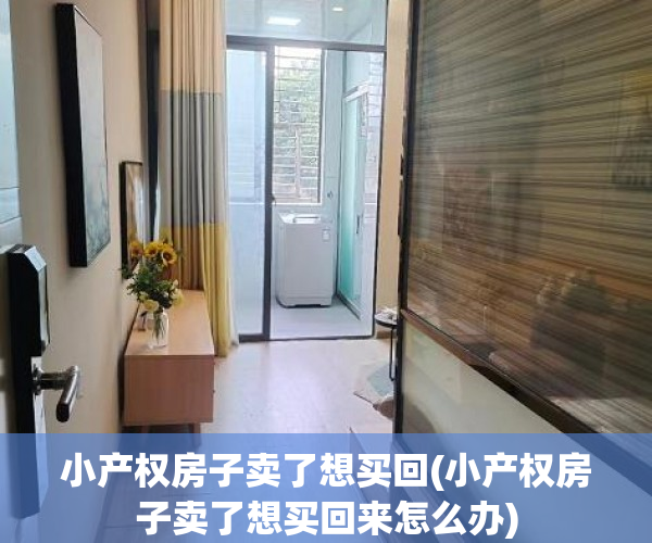 小产权房子卖了想买回(小产权房子卖了想买回来怎么办) 小产权房子卖了想买回(小产权房子卖了想买回来怎么办)