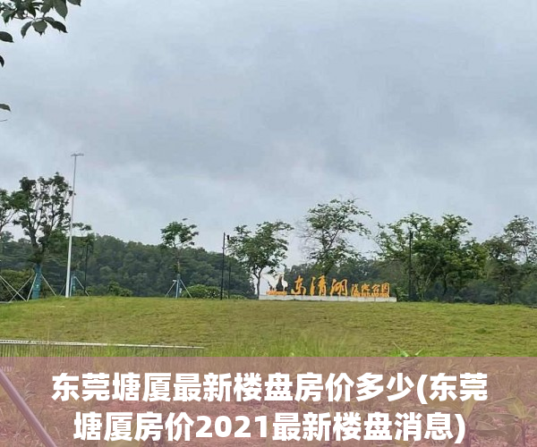 东莞塘厦最新楼盘房价多少(东莞塘厦房价2021最新楼盘消息)