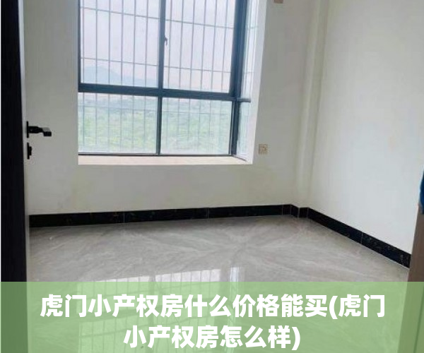 虎门小产权房什么价格能买(虎门小产权房怎么样)