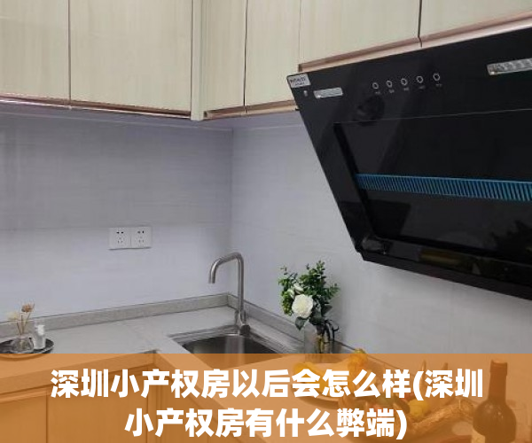 深圳小产权房以后会怎么样(深圳小产权房有什么弊端) 深圳小产权房以后会怎么样(深圳小产权房有什么弊端)