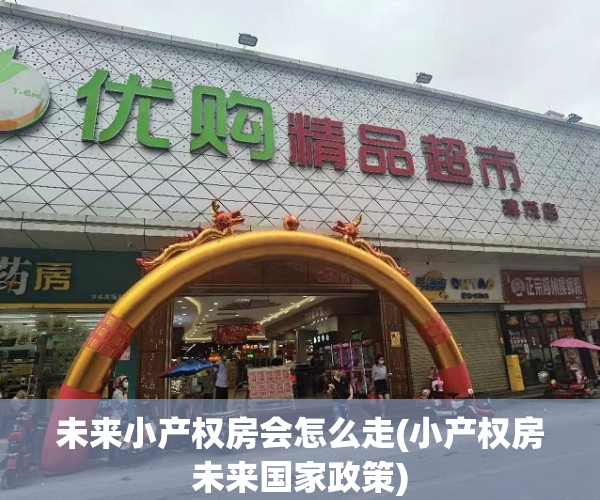 未来小产权房会怎么走(小产权房未来国家政策)