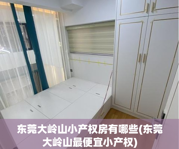 东莞大岭山小产权房有哪些(东莞大岭山最便宜小产权)