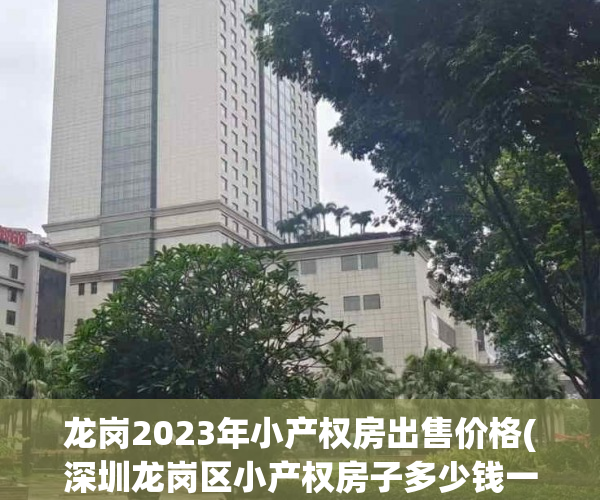 龙岗2023年小产权房出售价格(深圳龙岗区小产权房子多少钱一平米)