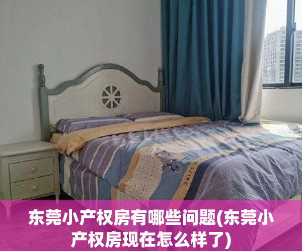 东莞小产权房有哪些问题(东莞小产权房现在怎么样了) 东莞小产权房有哪些问题(东莞小产权房现在怎么样了)