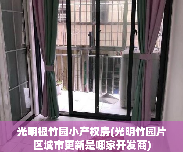 光明根竹园小产权房(光明竹园片区城市更新是哪家开发商)