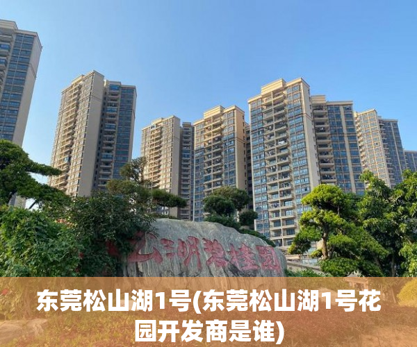 东莞松山湖1号(东莞松山湖1号花园开发商是谁)