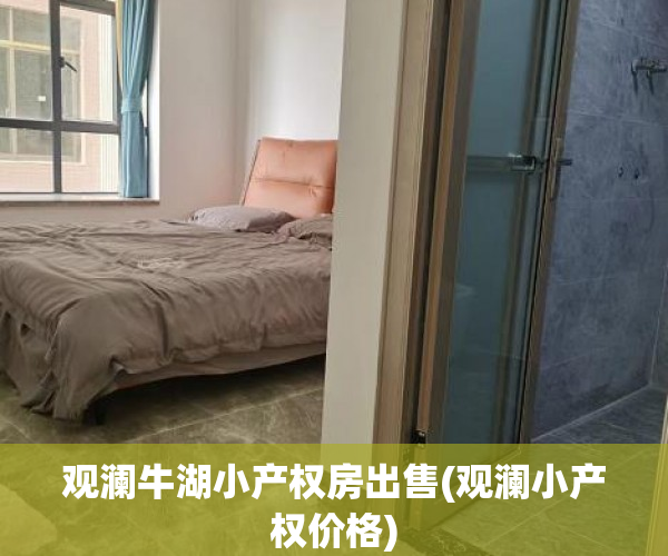 观澜牛湖小产权房出售(观澜小产权价格)