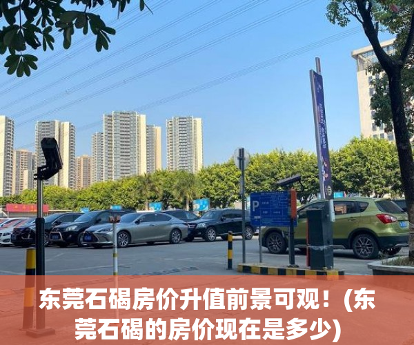 东莞石碣房价升值前景可观！(东莞石碣的房价现在是多少)