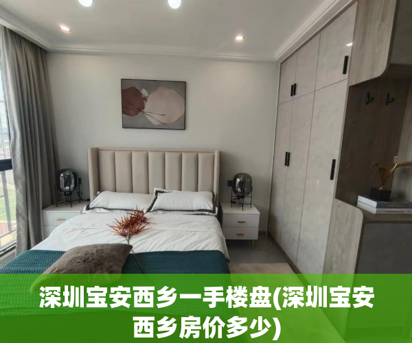深圳宝安西乡一手楼盘(深圳宝安西乡房价多少)