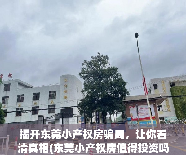揭开东莞小产权房骗局，让你看清真相(东莞小产权房值得投资吗)