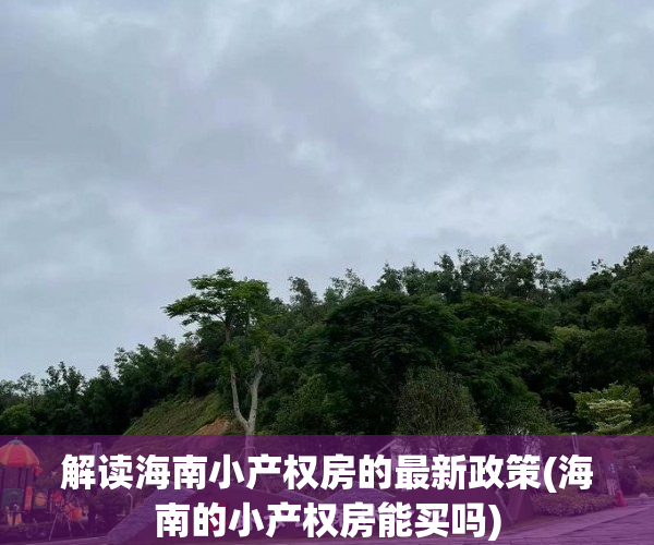 解读海南小产权房的最新政策(海南的小产权房能买吗)