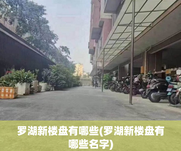 罗湖新楼盘有哪些(罗湖新楼盘有哪些名字) 罗湖新楼盘有哪些(罗湖新楼盘有哪些名字)