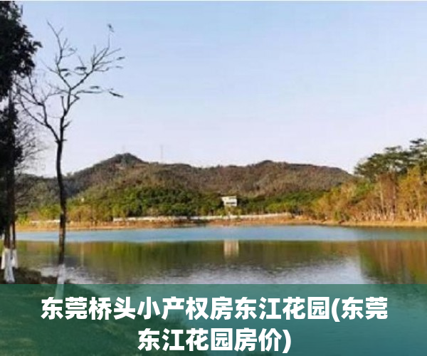 东莞桥头小产权房东江花园(东莞东江花园房价) 东莞桥头小产权房东江花园(东莞东江花园房价)