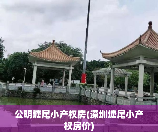 公明塘尾小产权房(深圳塘尾小产权房价) 公明塘尾小产权房(深圳塘尾小产权房价)