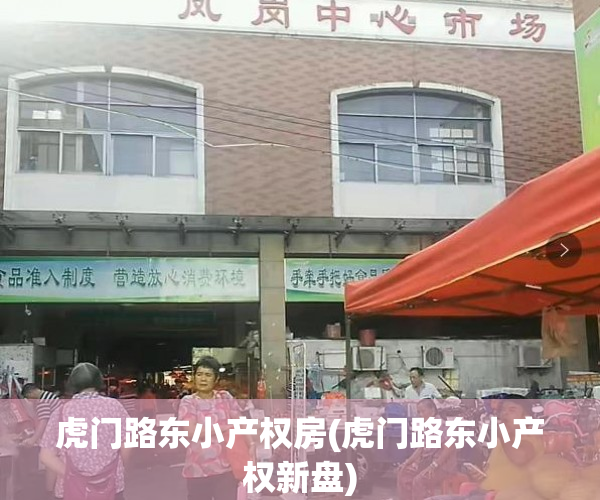 虎门路东小产权房(虎门路东小产权新盘) 虎门路东小产权房(虎门路东小产权新盘)