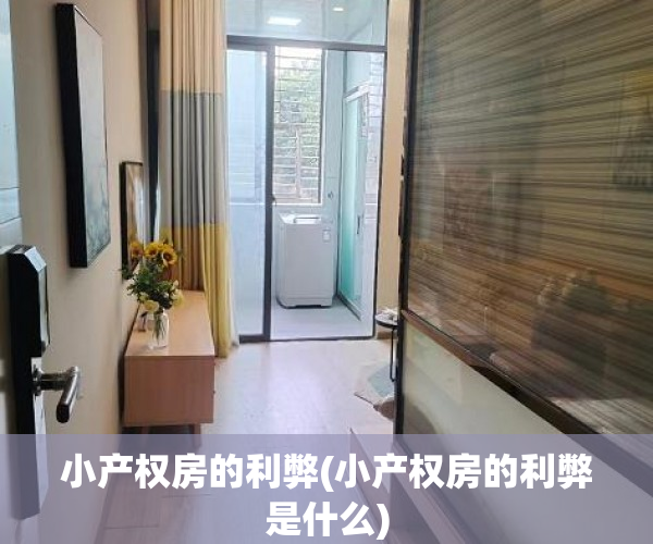 小产权房的利弊(小产权房的利弊是什么) 小产权房的利弊(小产权房的利弊是什么)