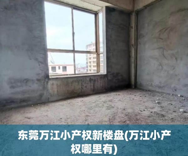 东莞万江小产权新楼盘(万江小产权哪里有)
