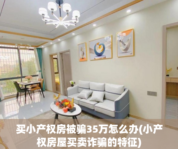 买小产权房被骗35万怎么办(小产权房屋买卖诈骗的特征)