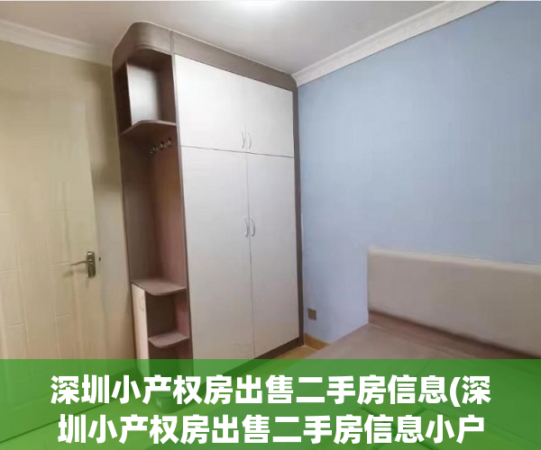 深圳小产权房出售二手房信息(深圳小产权房出售二手房信息小户型)