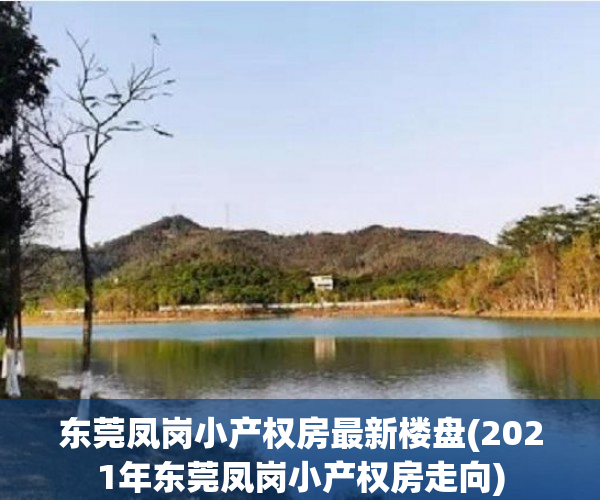东莞凤岗小产权房最新楼盘(2021年东莞凤岗小产权房走向)