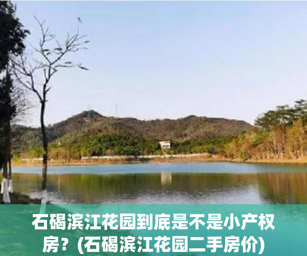 石碣滨江花园到底是不是小产权房？(石碣滨江花园二手房价)