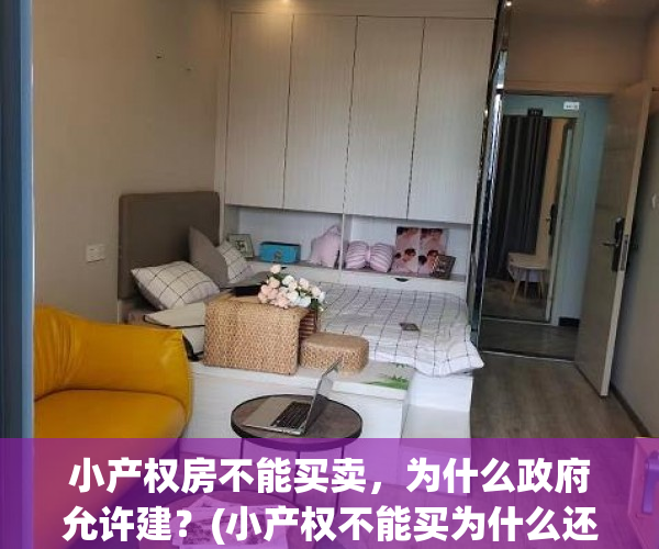 小产权房不能买卖，为什么政府允许建？(小产权不能买为什么还要建)
