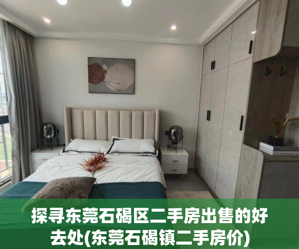 探寻东莞石碣区二手房出售的好去处(东莞石碣镇二手房价)