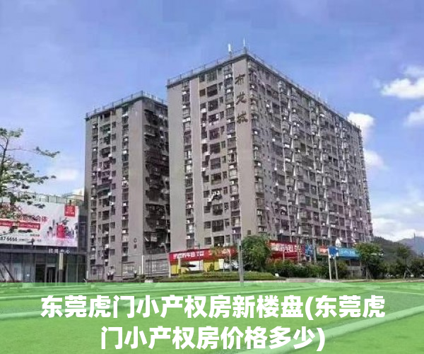 东莞虎门小产权房新楼盘(东莞虎门小产权房价格多少)