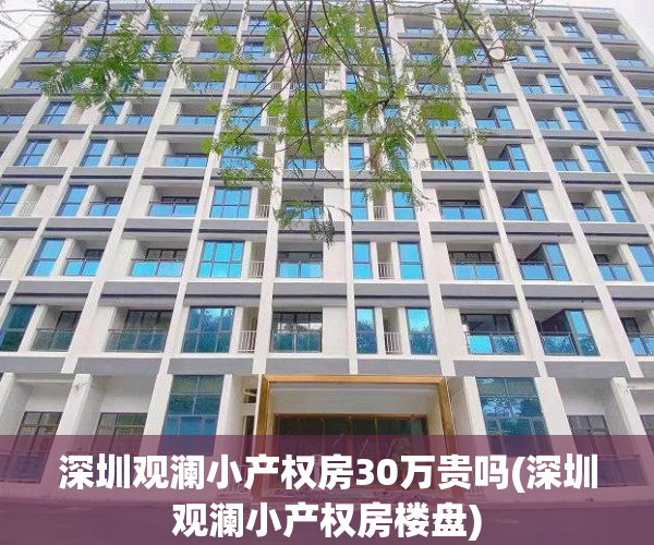 深圳观澜小产权房30万贵吗(深圳观澜小产权房楼盘)