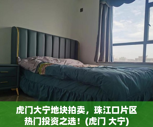 虎门大宁地块拍卖，珠江口片区热门投资之选！(虎门 大宁)