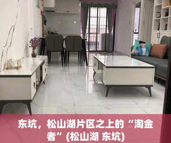 东坑，松山湖片区之上的“淘金者”(松山湖 东坑)