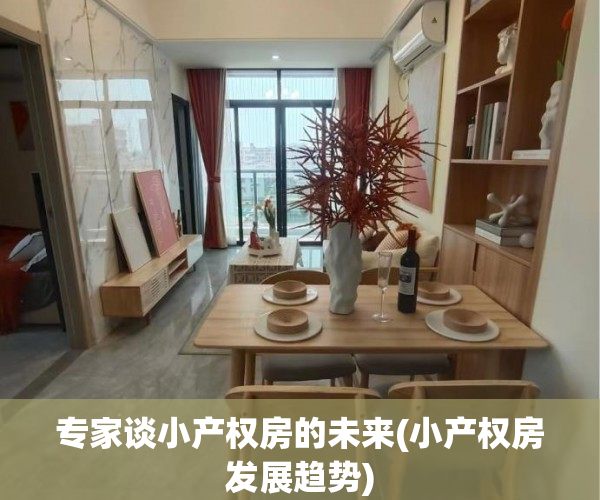 专家谈小产权房的未来(小产权房发展趋势)