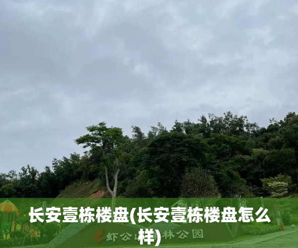 长安壹栋楼盘(长安壹栋楼盘怎么样)