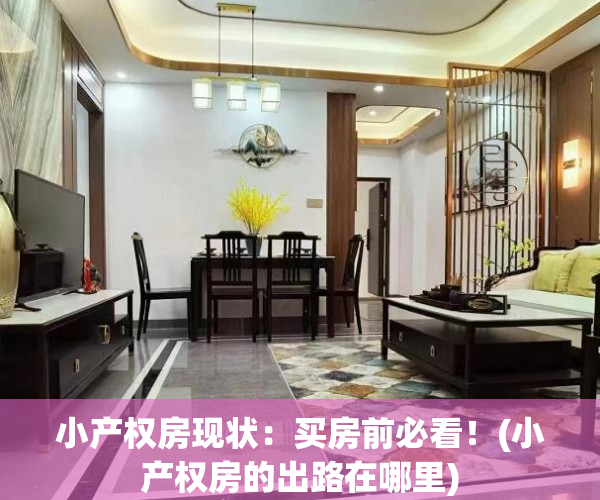 小产权房现状：买房前必看！(小产权房的出路在哪里)