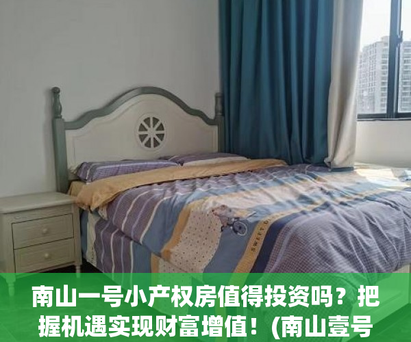 南山一号小产权房值得投资吗？把握机遇实现财富增值！(南山壹号价格)
