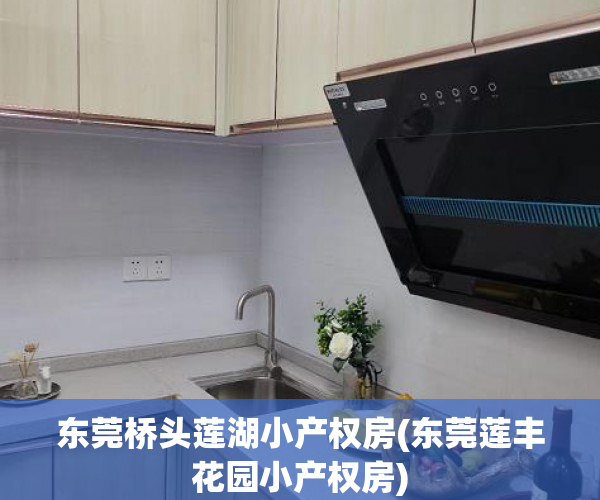 东莞桥头莲湖小产权房(东莞莲丰花园小产权房)
