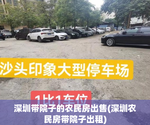 深圳带院子的农民房出售(深圳农民房带院子出租)