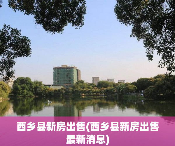 西乡县新房出售(西乡县新房出售最新消息)