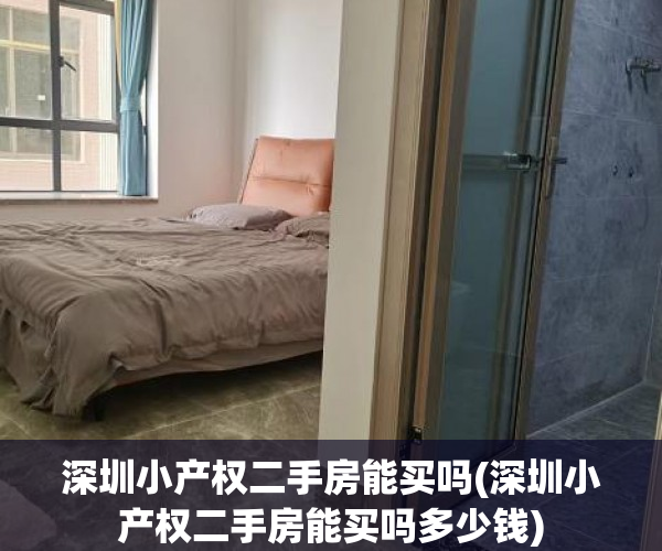 深圳小产权二手房能买吗(深圳小产权二手房能买吗多少钱)