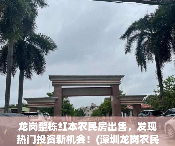 龙岗整栋红本农民房出售，发现热门投资新机会！(深圳龙岗农民房出租房价)