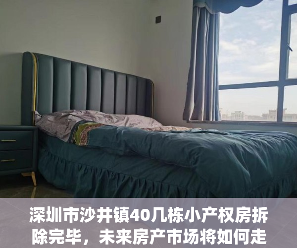深圳市沙井镇40几栋小产权房拆除完毕，未来房产市场将如何走向？(深圳沙井小产权最新房价多少)